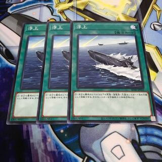 浮上 ノーマル　Hulu 654