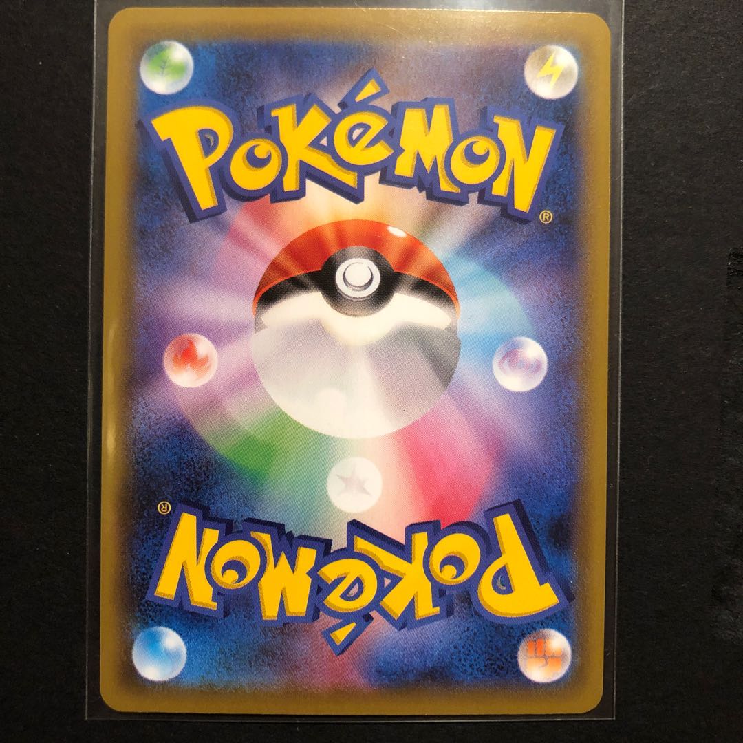 【ざわさま専用】ヒガナの決意 HR ライチュウ&アローラライチュウHR