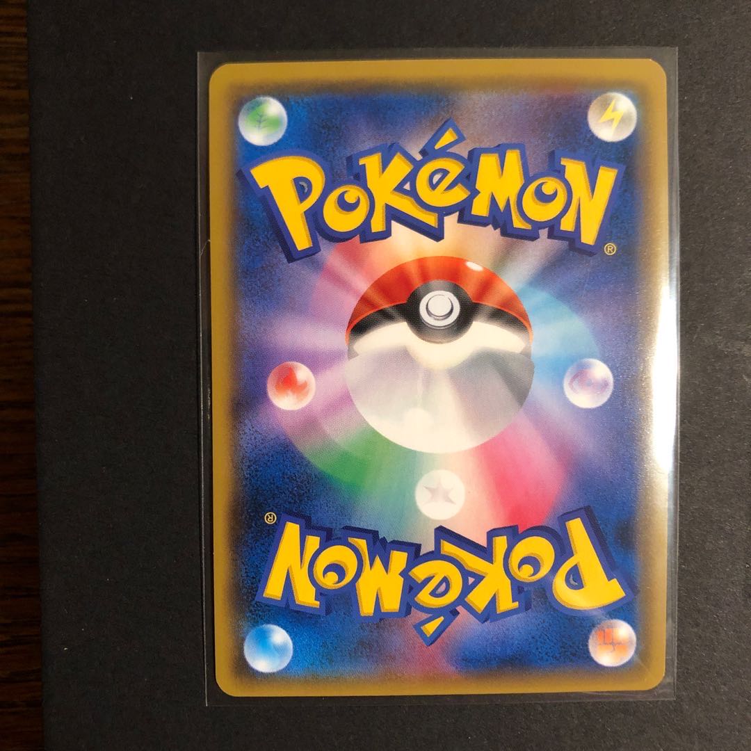 【ざわさま専用】ヒガナの決意 HR ライチュウ&アローラライチュウHR