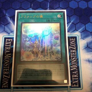 アラメシアの儀