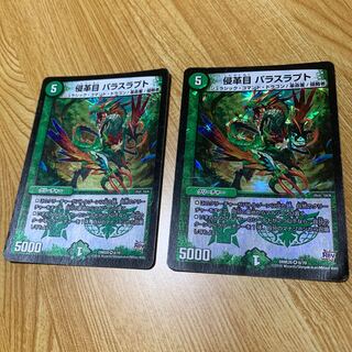 パラスラプト 2枚