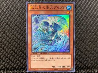 【ぽぽたん】遊戯王 2097 氷結界の番人ブリズド スーパー DTC01