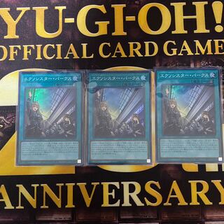 エクソシスター・パークス