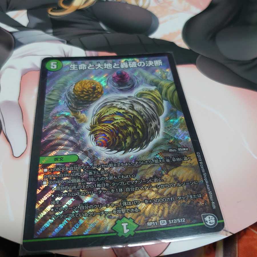 まさかの最安値!? スタージュンも認めた 生命と大地と轟破の決断