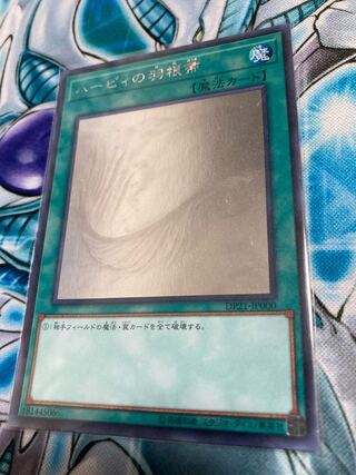 ハーピィの羽根帚 ホログラフィックレア