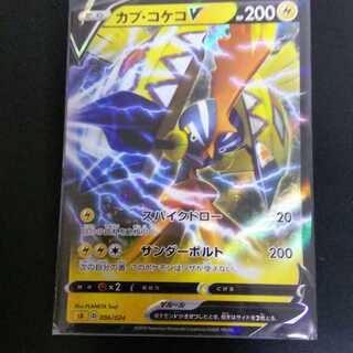 ☆カプ・コケコV☆