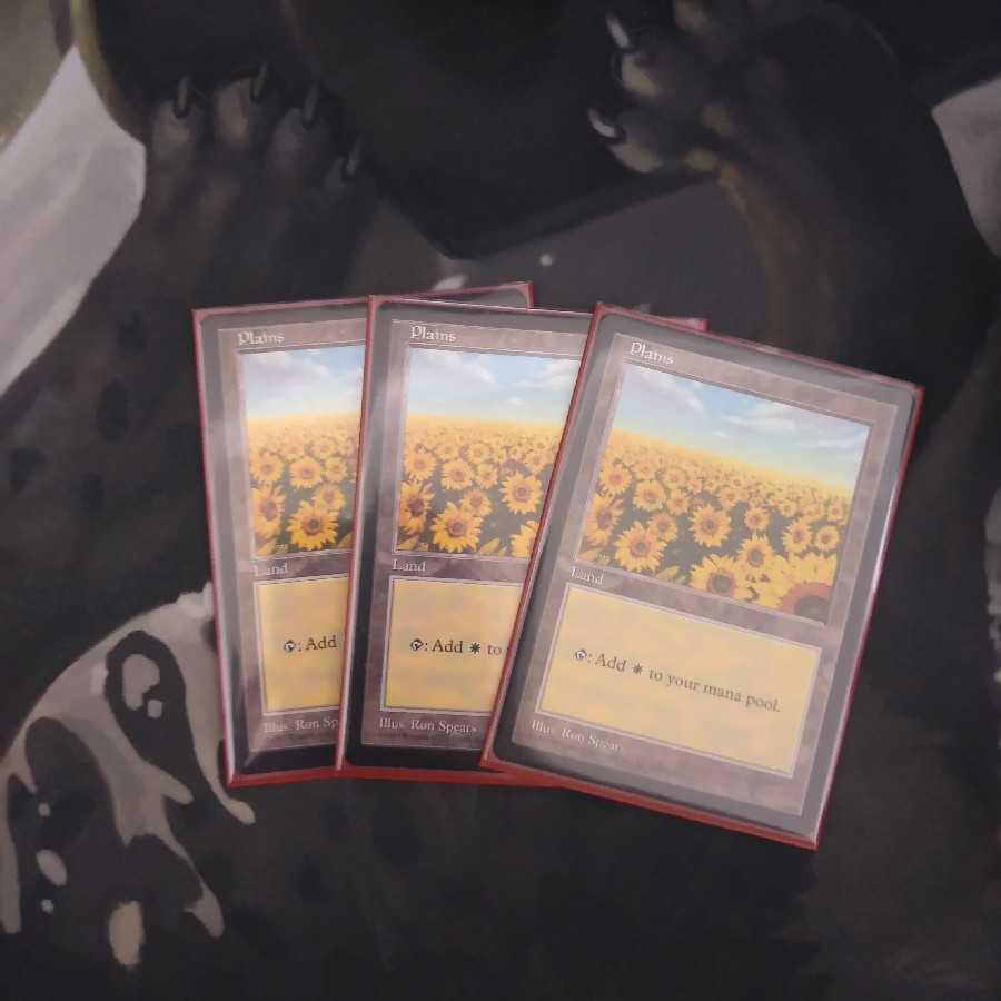 APAC 平地　ひまわり　三枚セット