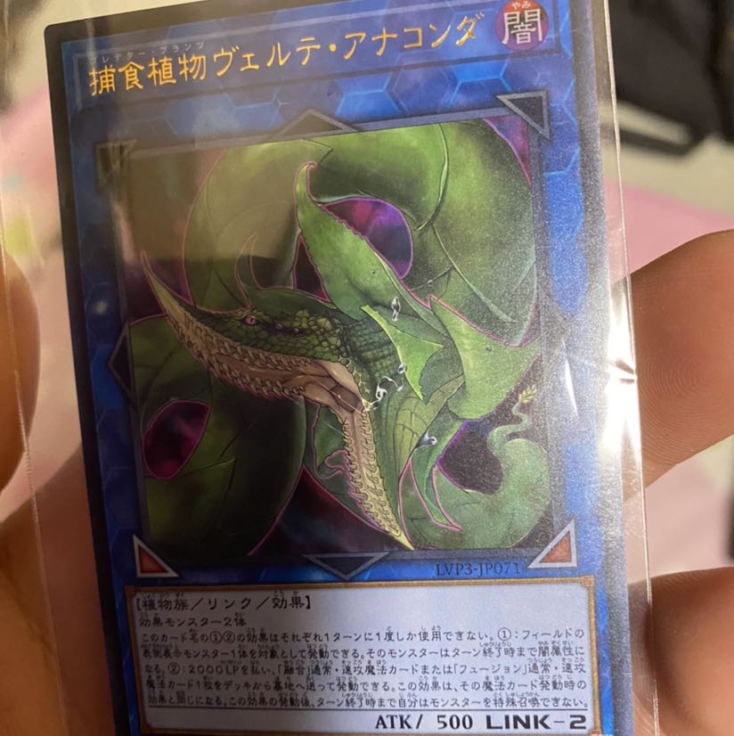 捕食植物ヴェルテ・アナコンダ