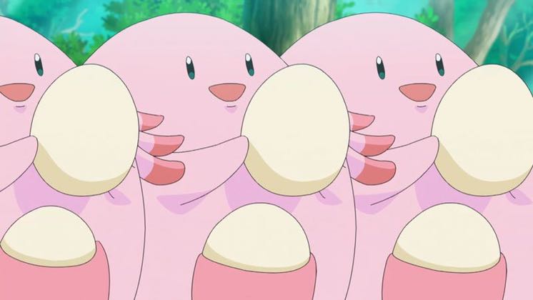 しんかのおこう 2枚