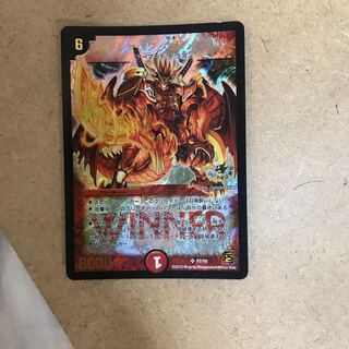 ボルシャック大和ドラゴン