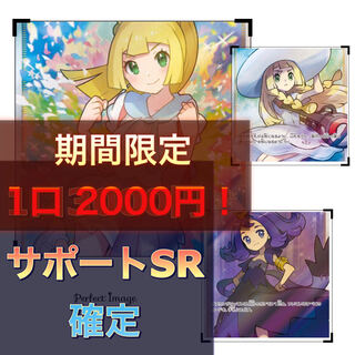 しゅがー様専用　5口