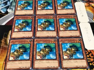 ファイバーポッド ノーマル 9枚セット