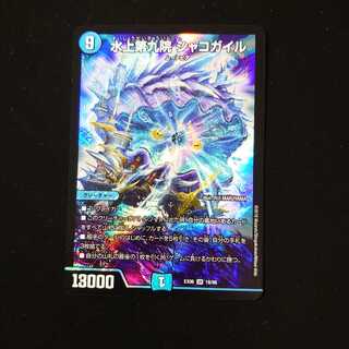 水上第九院 シャコガイル