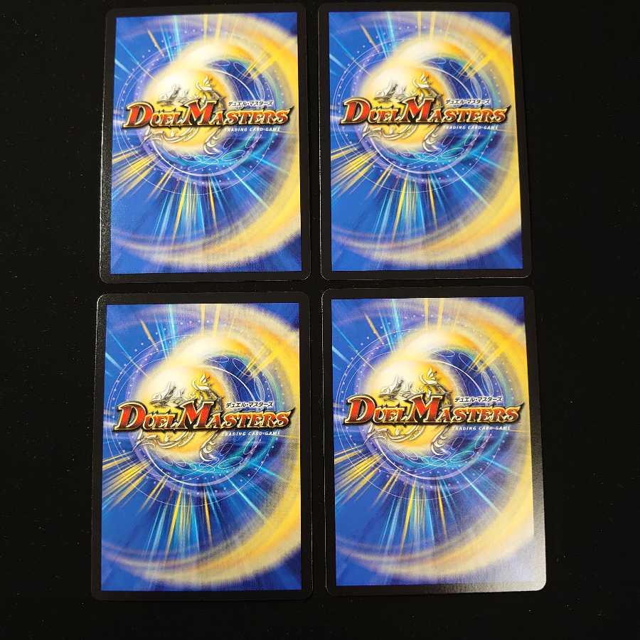 龍爪者“SVN”ムソウ|二爪流トレーニング 4枚