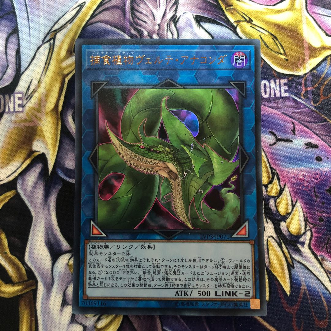 捕食植物ヴェルテ・アナコンダ