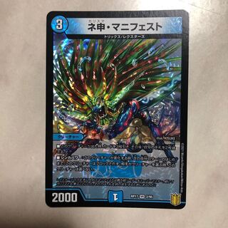 ネ申・マニフェスト