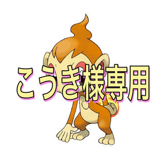 こうき様専用 1枚