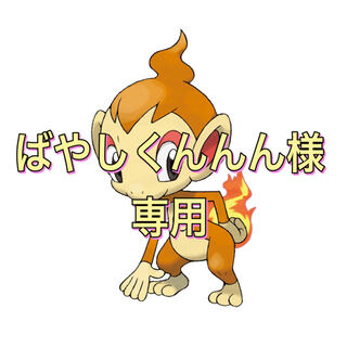 ばやしくんんん様専用 1枚
