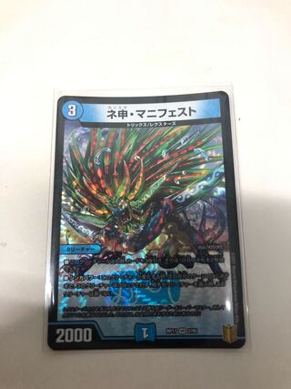 ネ申・マニフェスト