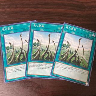 竜の霊廟 3枚セット