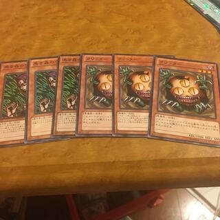 クリッター＆黒き森のウィッチ