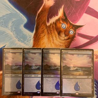 島（103）　英語4枚　Secret Lair