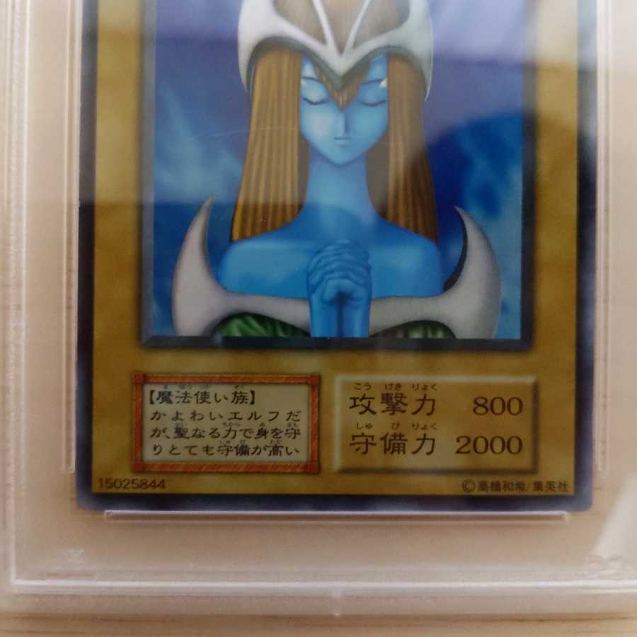 美品 ホーリーエルフ スーパー 初期 PSA8 遊戯王の通販 PSA遊戯王初期