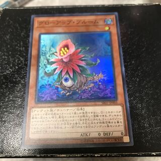 グローアップ・ブルーム スーパーレア