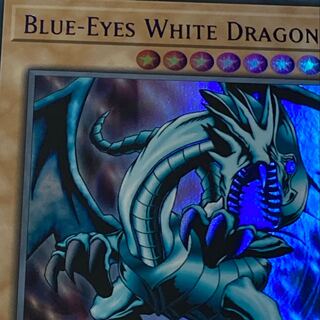 ころも様専用　ブルー　青眼の白龍