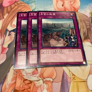 王宮の鉄壁 ノーマル　3枚　特価品