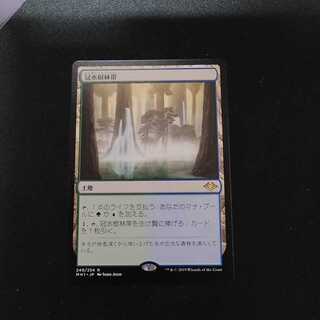 【モダンホライゾン】冠水樹林帯【セブン】