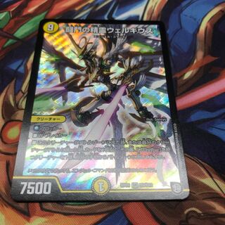 闘門の精霊ウェルキウス