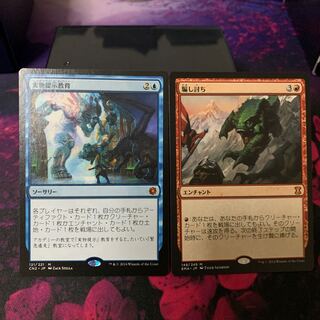 実物提示教育＋騙し討ち　各1枚ずつ