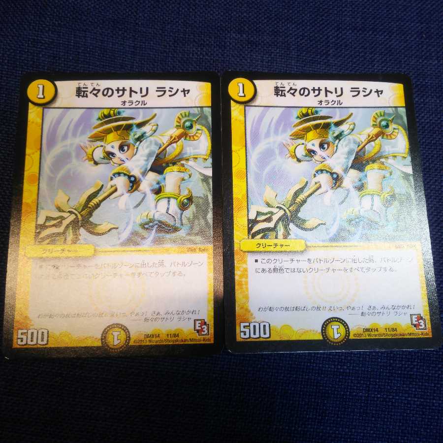 転々のサトリ ラシャ 2枚