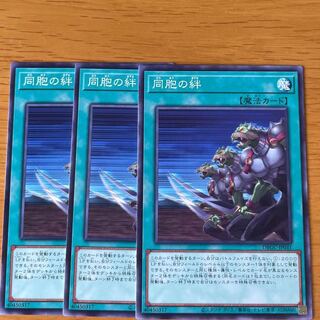 同胞の絆　ノーマル　3枚