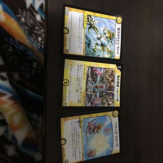 サトリ ラシャ 他