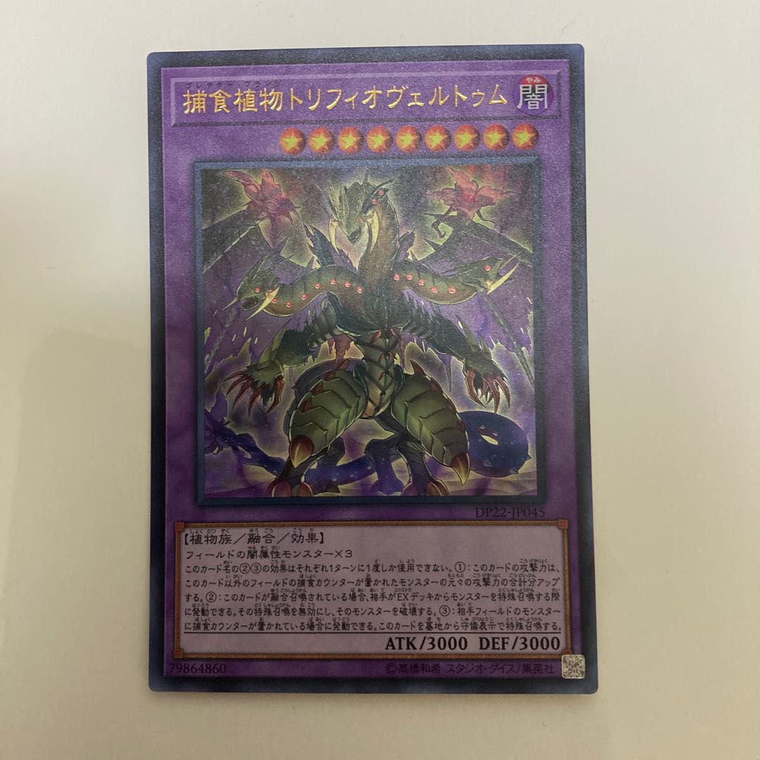 捕食植物トリフィオヴェルトゥム ウルトラレア