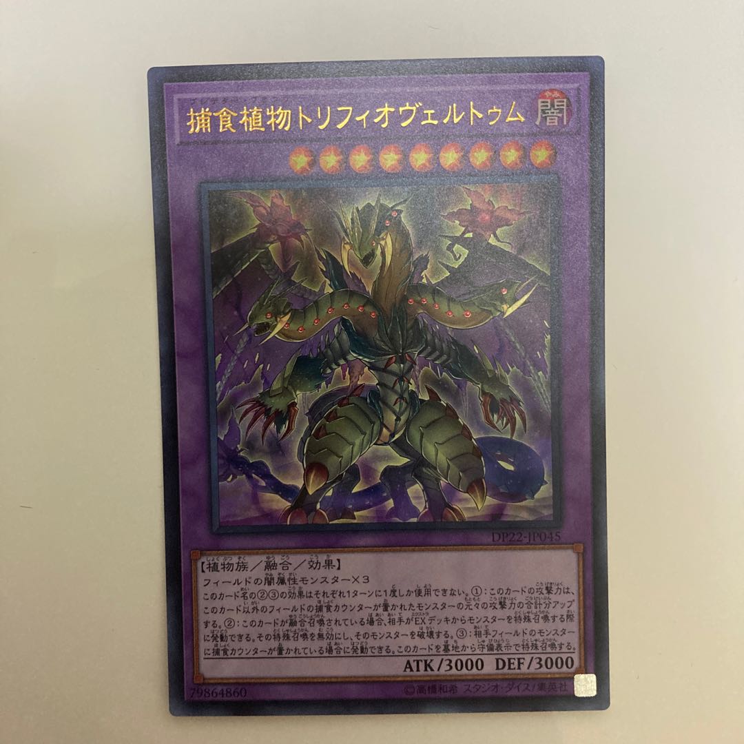 捕食植物トリフィオヴェルトゥム ウルトラレア