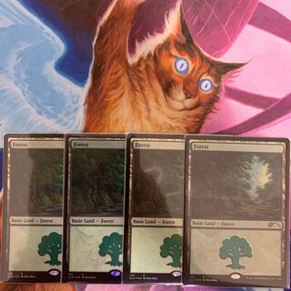 専用　森（108）　英語4枚　Secret Lair 4枚