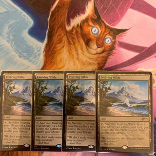 Evolving Wilds 4 English 4 Secret Lair