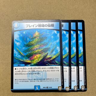 ブレイン珊瑚の仙樹　4枚