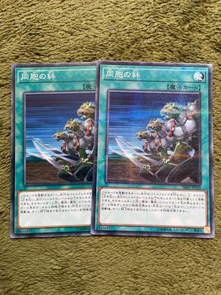 同胞の絆 パラレル ノーマル2枚