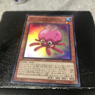 ファーニマル・オクト スーパーレア