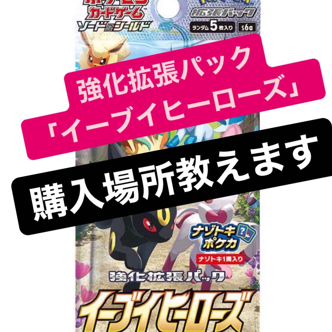 【即購入可】イーブイヒーローズ