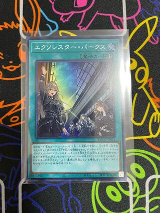 ☆遊戯王　エクソシスター・パークス☆