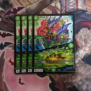 摩破目 ナトゥーラ・トプス｜ストンピング・ウィード