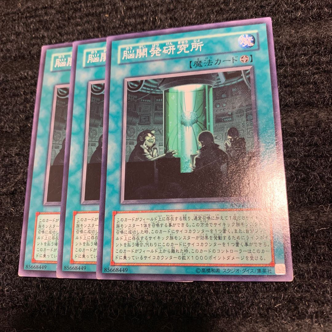 脳開発研究所 ノーマル