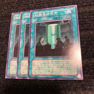 脳開発研究所 ノーマル