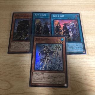 聖殿の水遣い　グリフォンライダー　運命の旅路