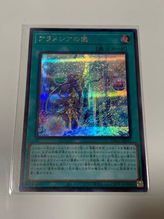 アラメシアの儀　シク